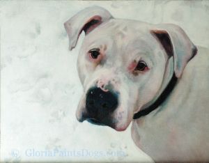Painted pet portrait, American Bulldog, Massachusetts, Chance.jpg